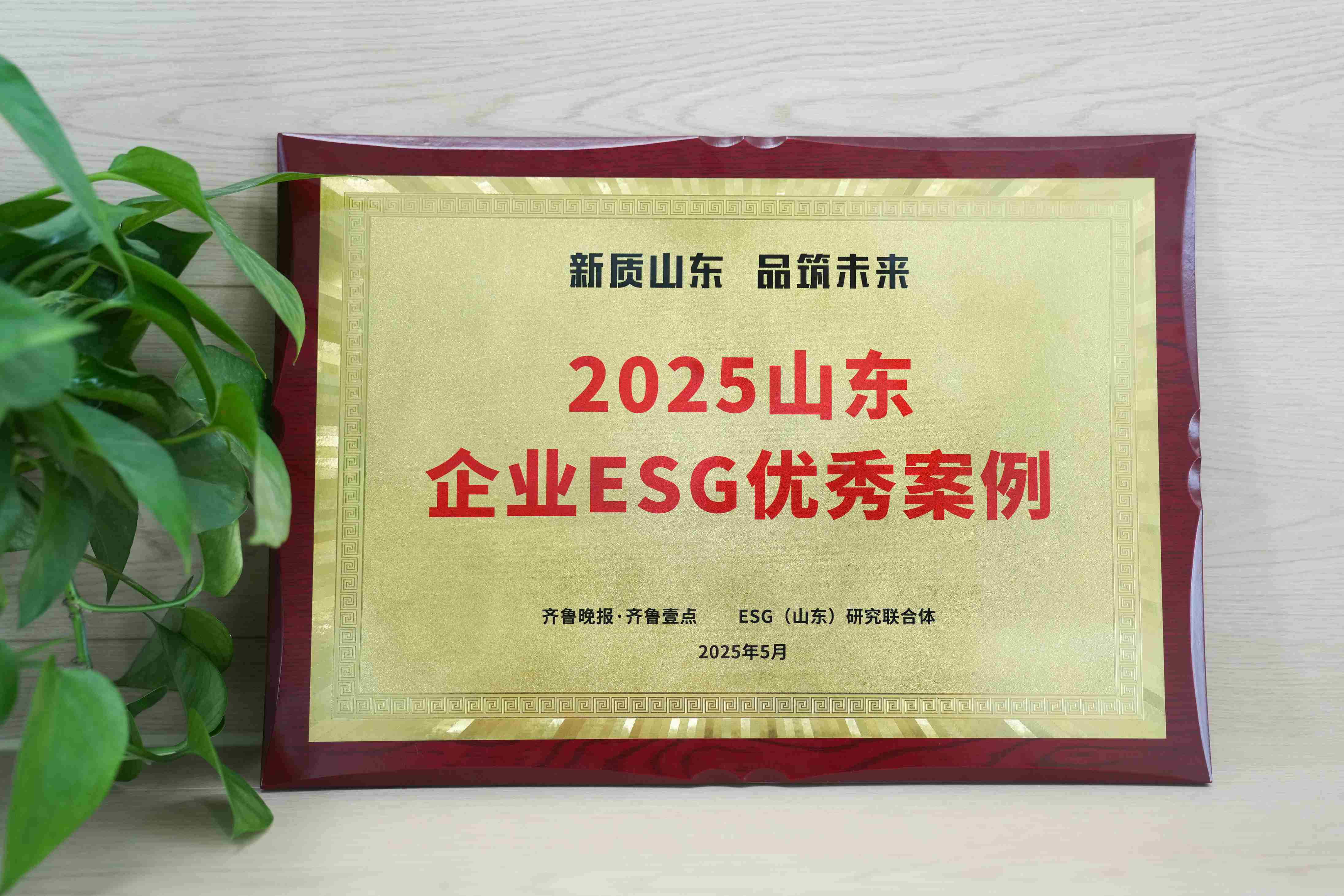 72779太阳集团医疗入选2025山东企业ESG优秀案例
